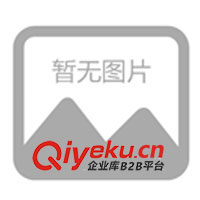 非主流（特大油量）超薄浪漫10支裝 安全套 避孕套